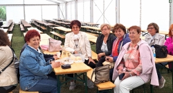 2025-09-27 Harmonikafesztivál Algyő Napján